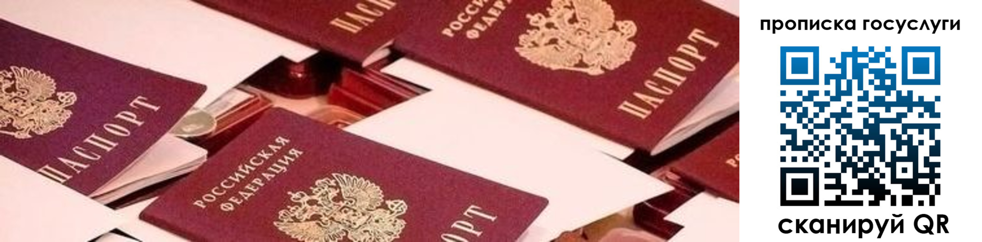 регистрация в Вольске